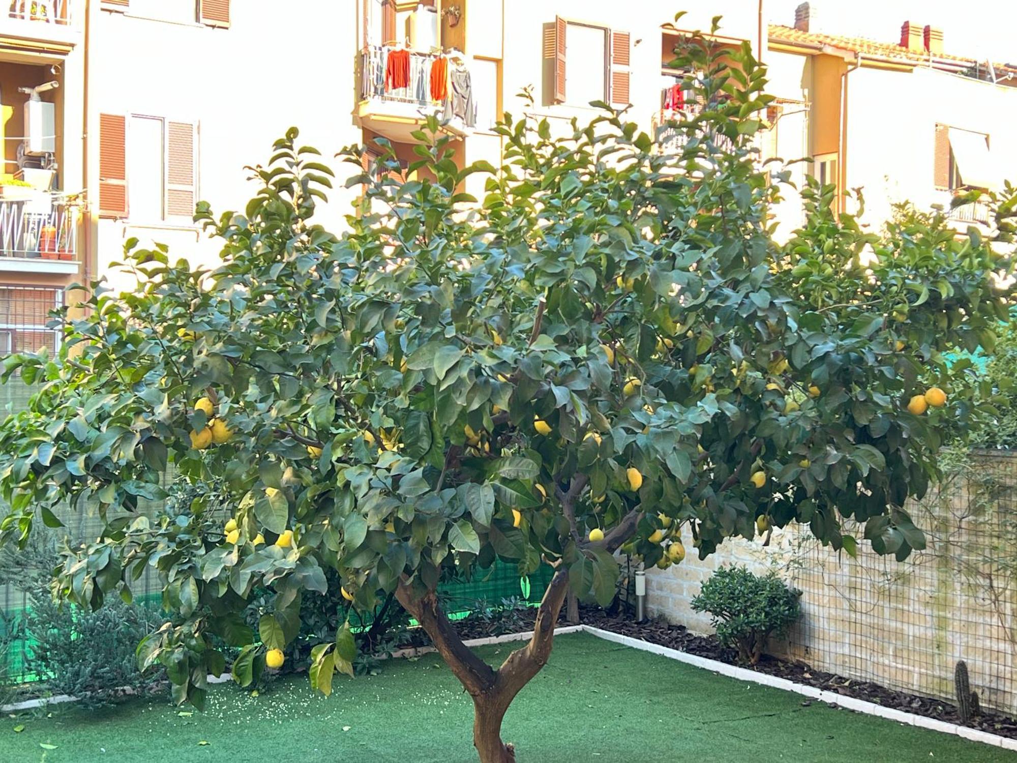 Casa Paestum. Your Wonderful Garden In Rome Roma Exterior foto