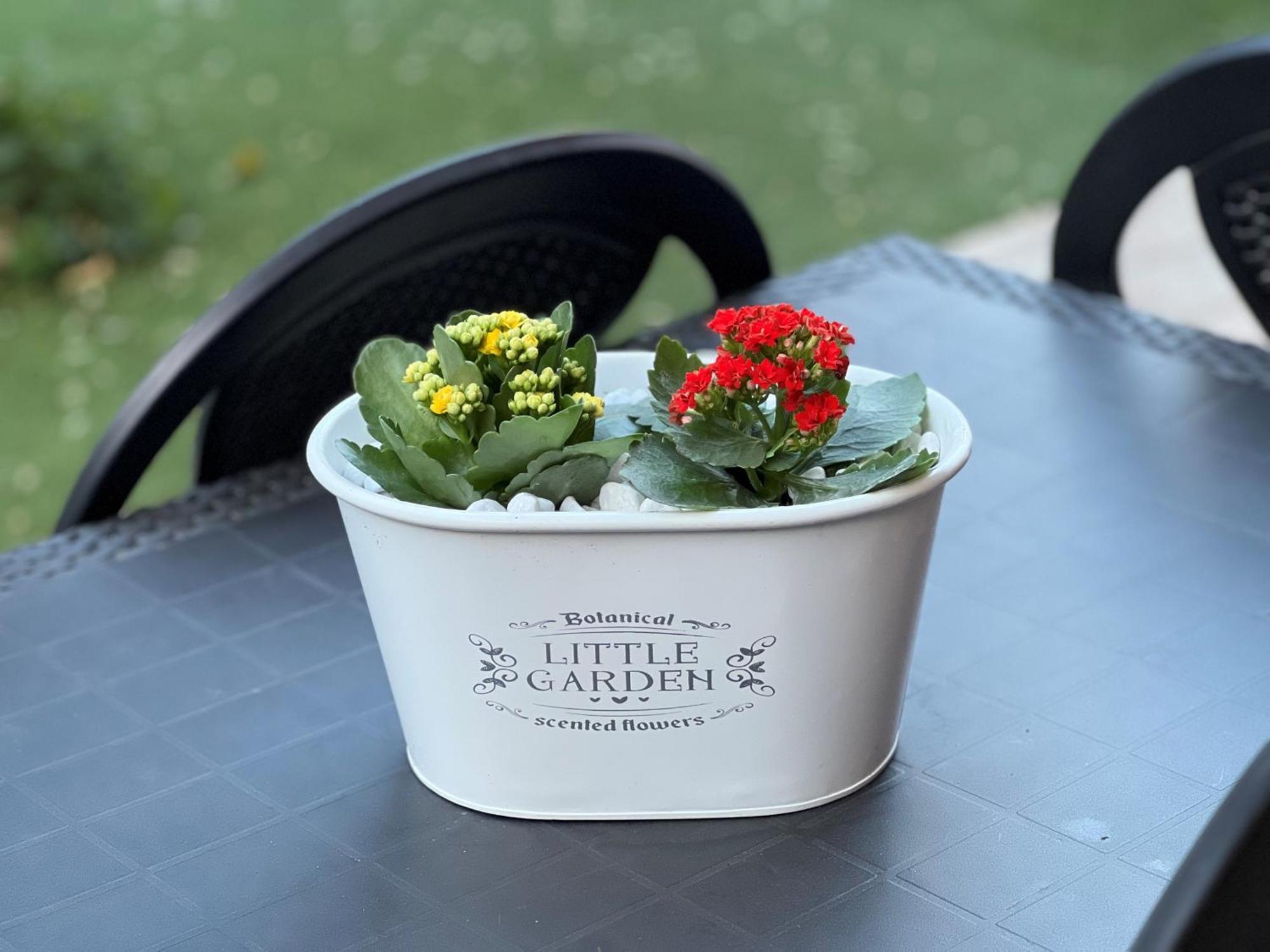 Casa Paestum. Your Wonderful Garden In Rome Roma Exterior foto